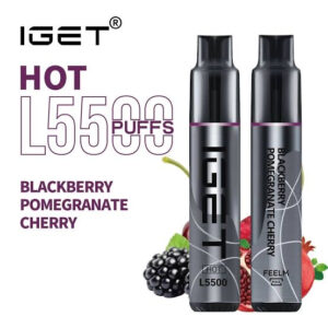 IGET HOT BLACKBERRY POMEGRANATE CHEERY 5500 PUFFS